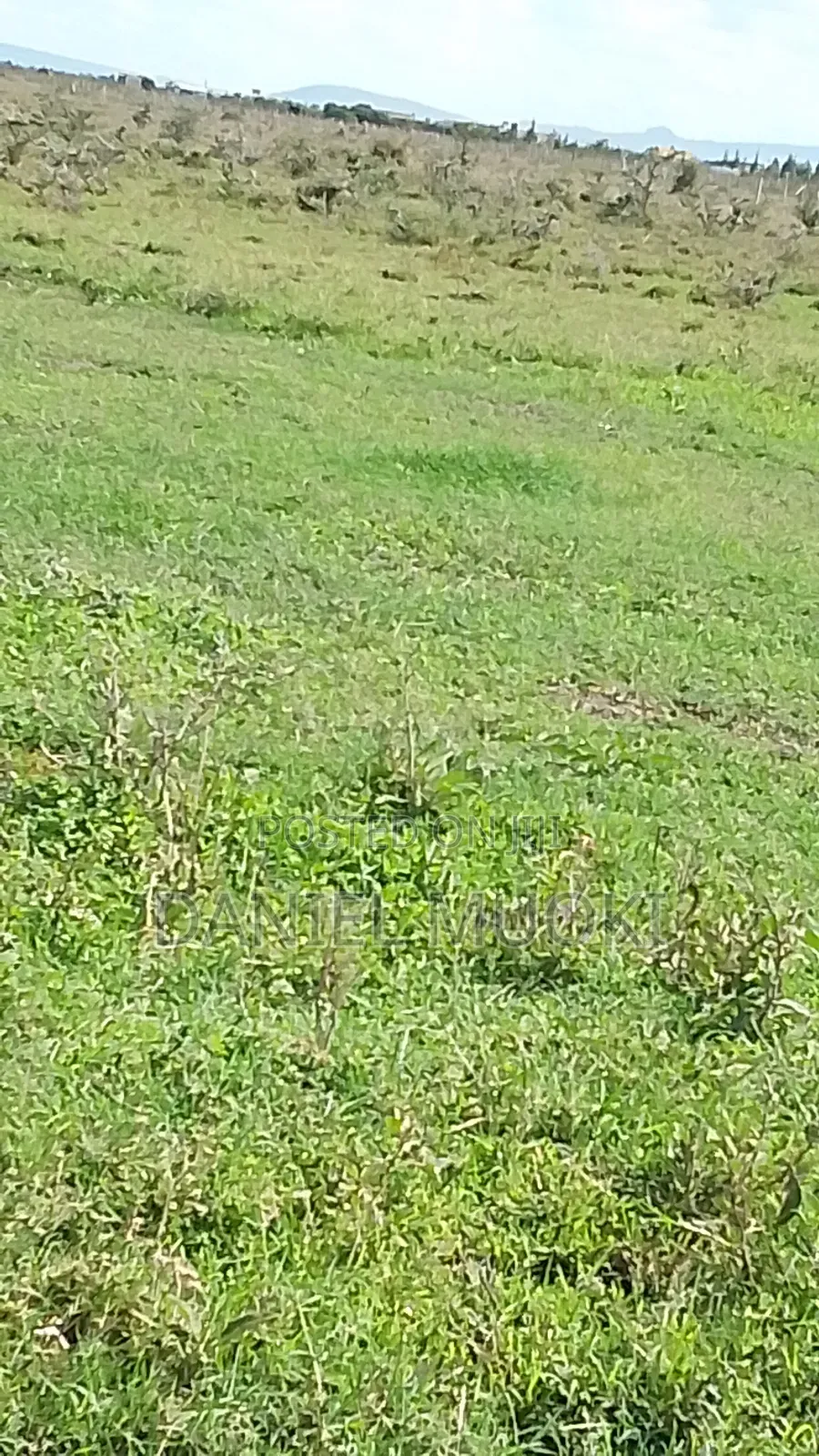 100x100 Titled Plot Beaconed Land on Sale