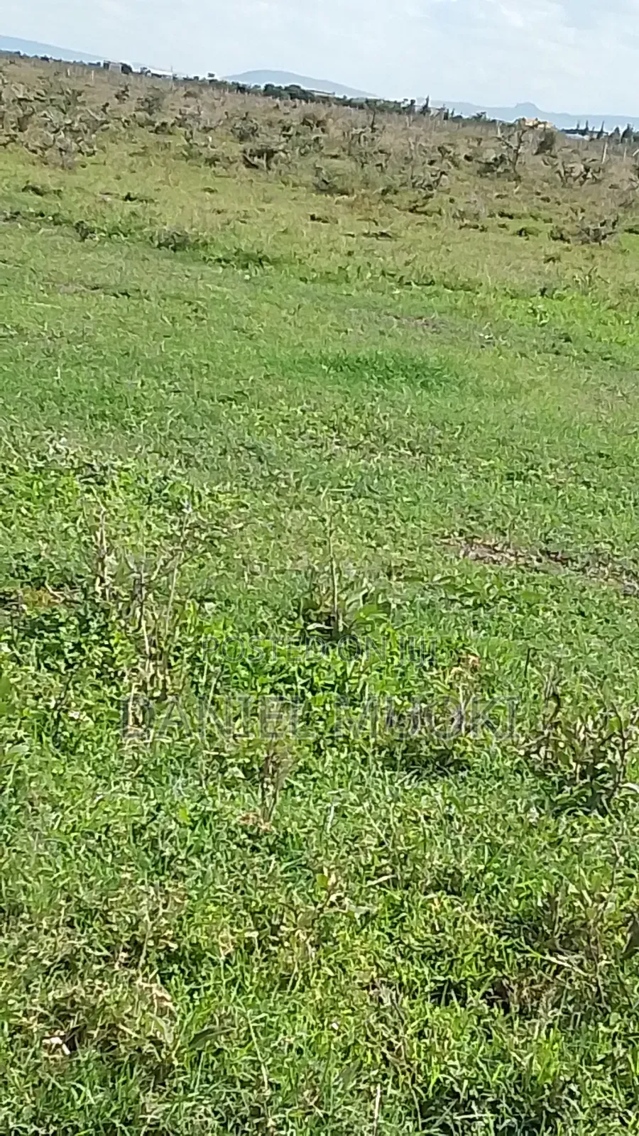 100x100 Titled Plot Beaconed Land on Sale