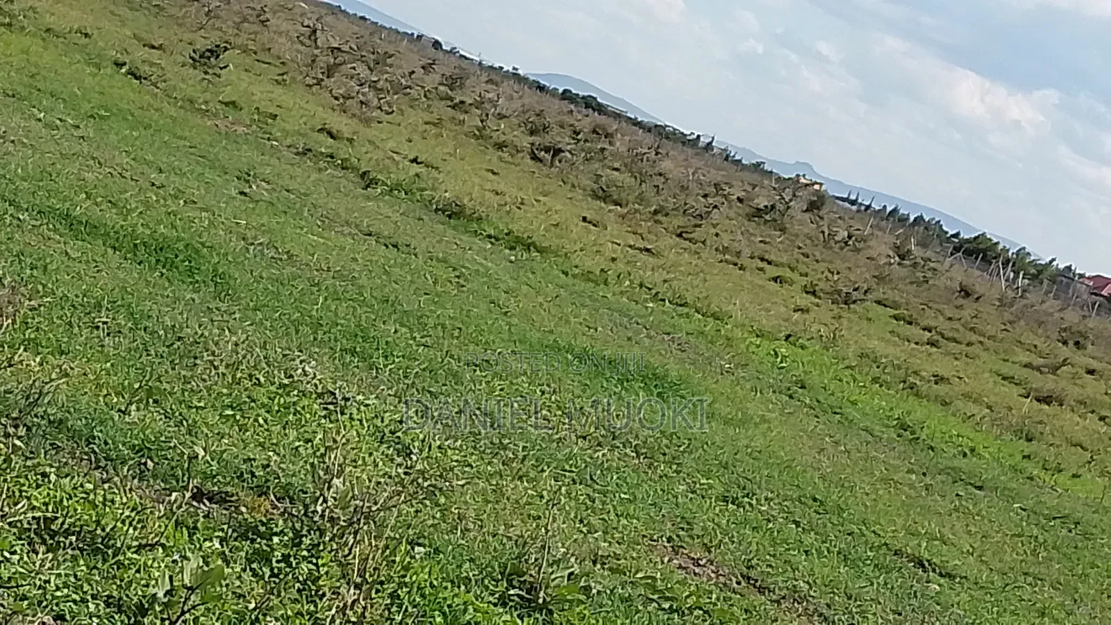 100x100 Titled Plot Beaconed Land on Sale