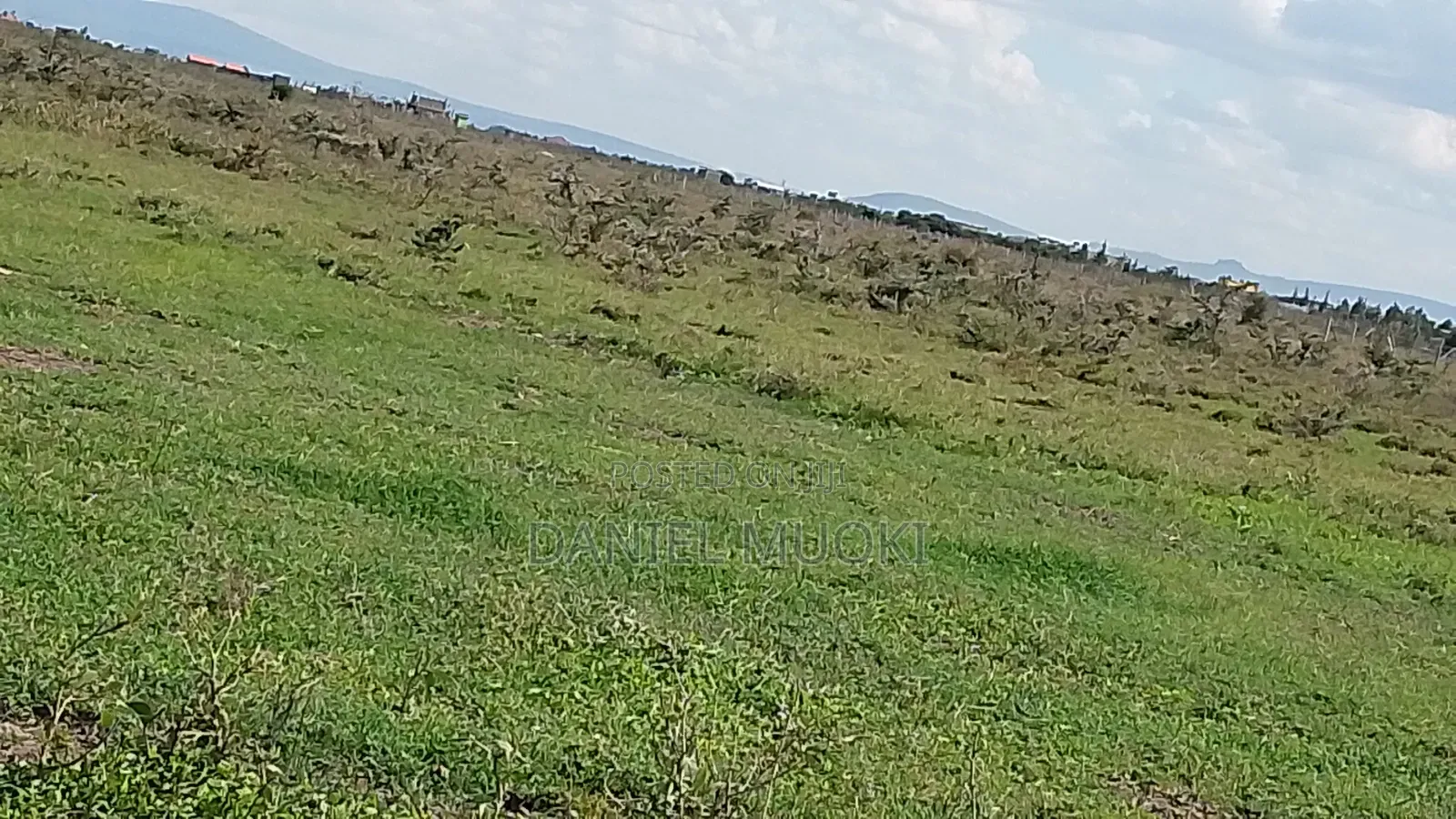 100x100 Titled Plot Beaconed Land on Sale