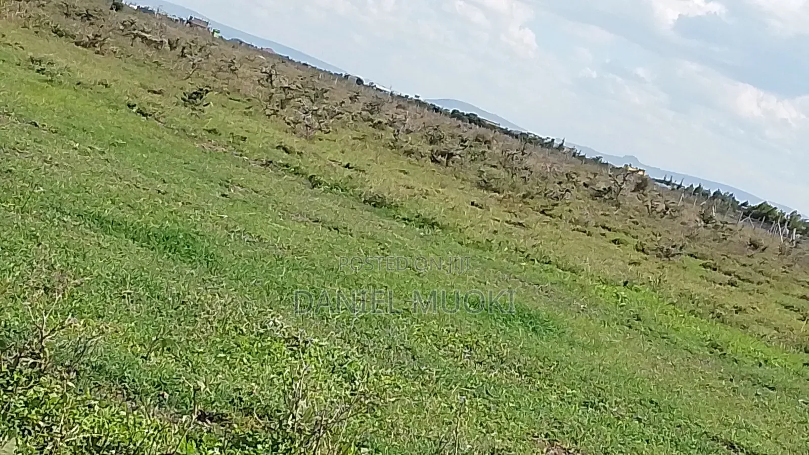 100x100 Titled Plot Beaconed Land on Sale