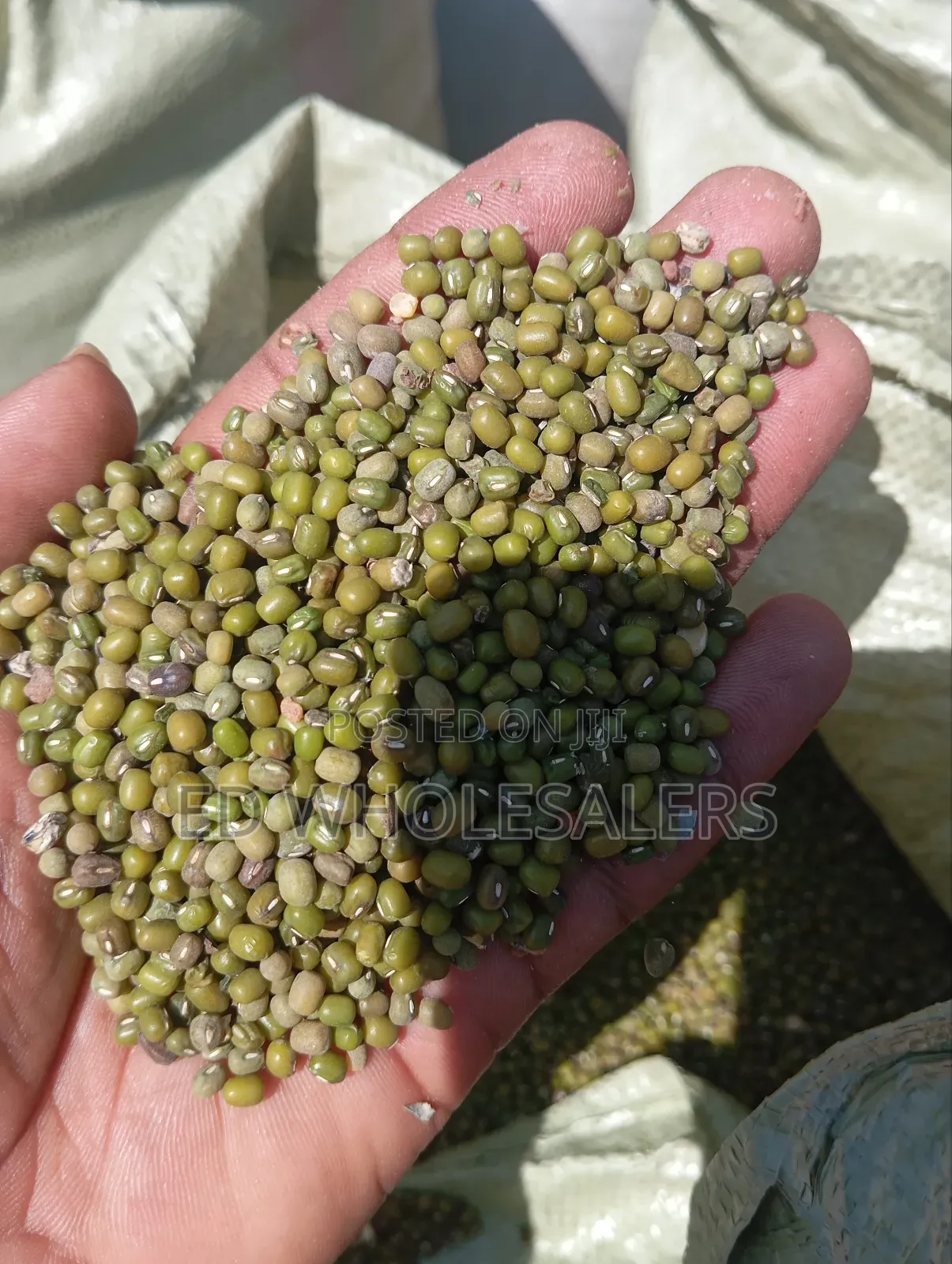 Ndengu/Dengu/ Green Grams