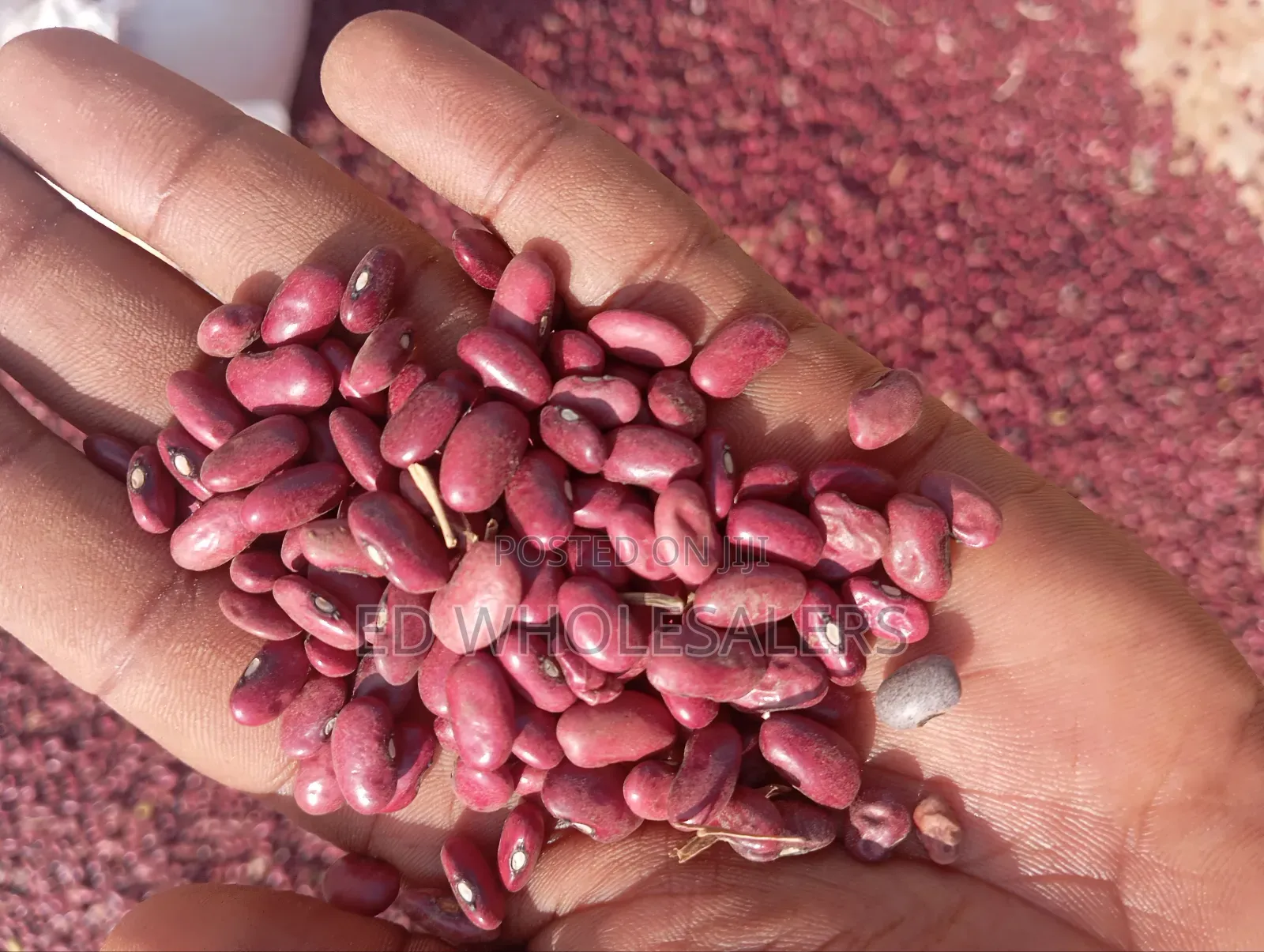 Wairimu Beans