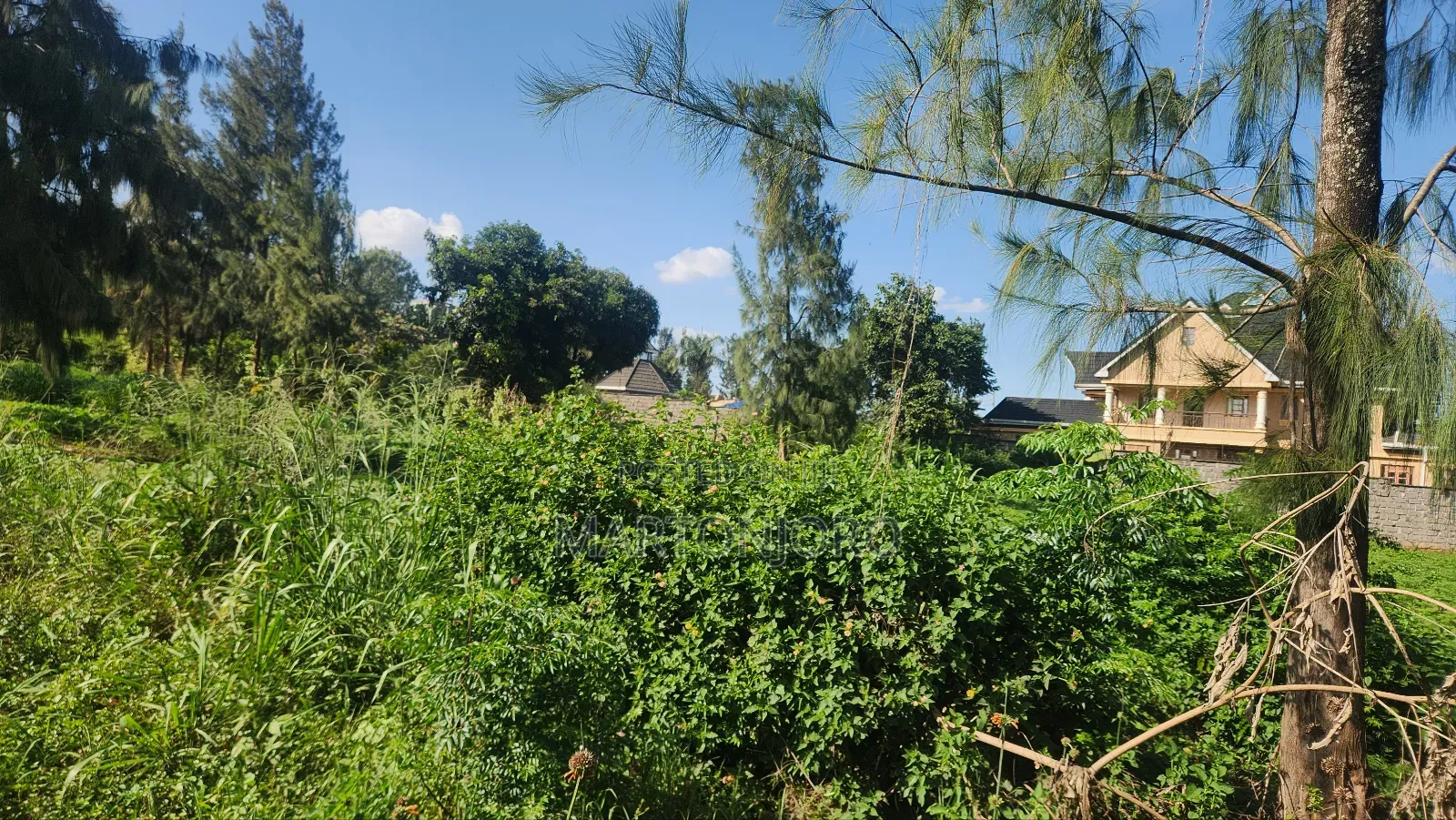 Mugumo Off Kamiti Road