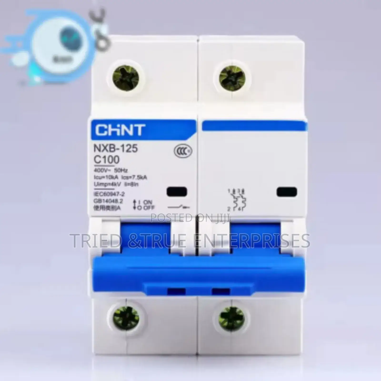 Modern 100amps Double Pole Chint Tfr4