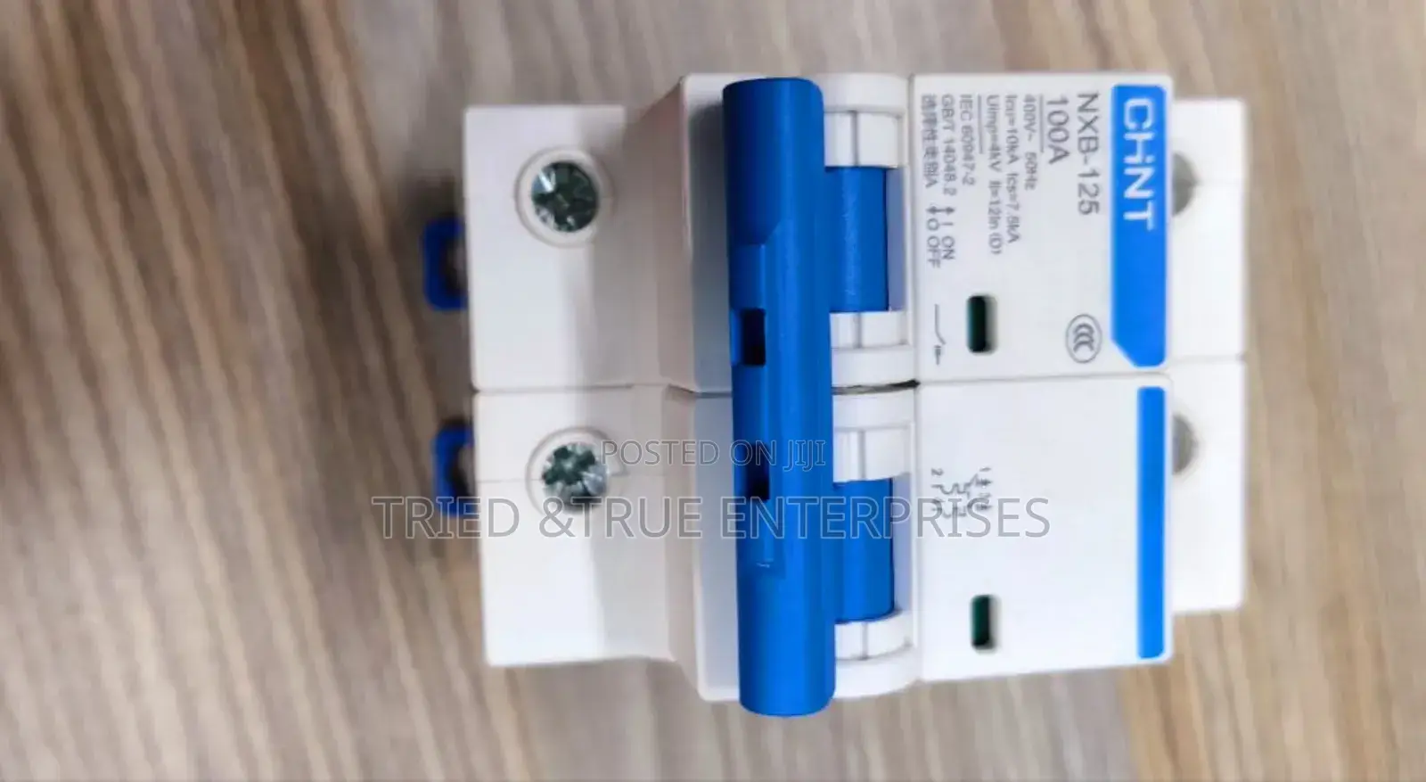 Modern 100amps Double Pole Chint Tfr4