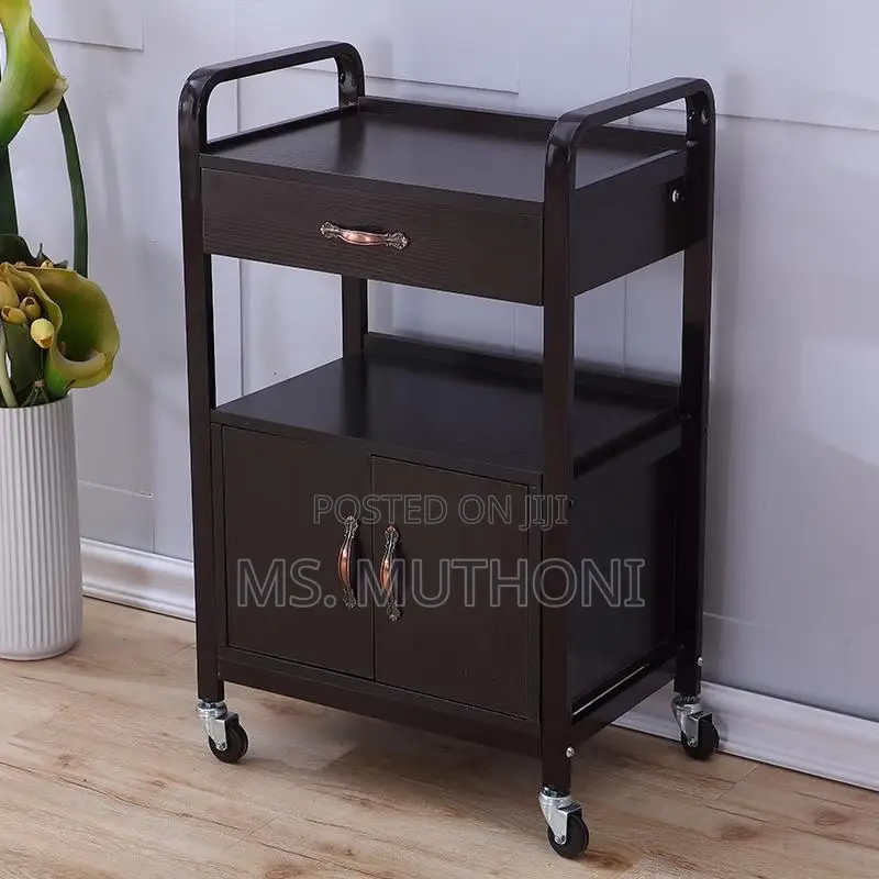 Two Tier Unit With a Drawer a Lower Cabinet Mobile Multipurpose Car