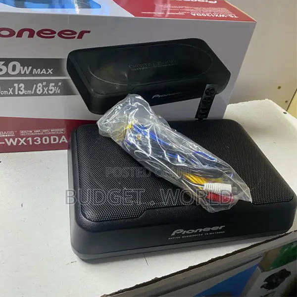 Ts-Wx130da Affordable ;;Car Underseat Active Subwoofer Class D