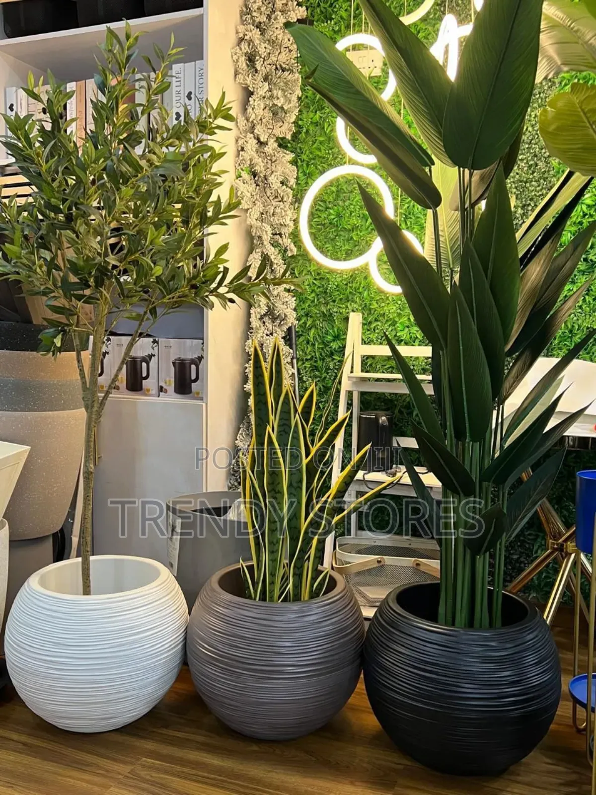 Premium Flower Planters