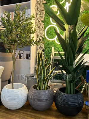 Premium Flower Planters