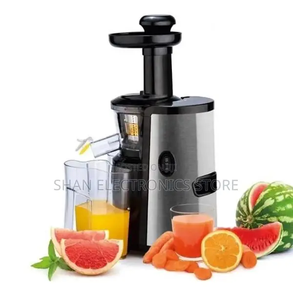Reki J2-200 Electric Slow Juicer High Efficiency Motor Food Grade Cup