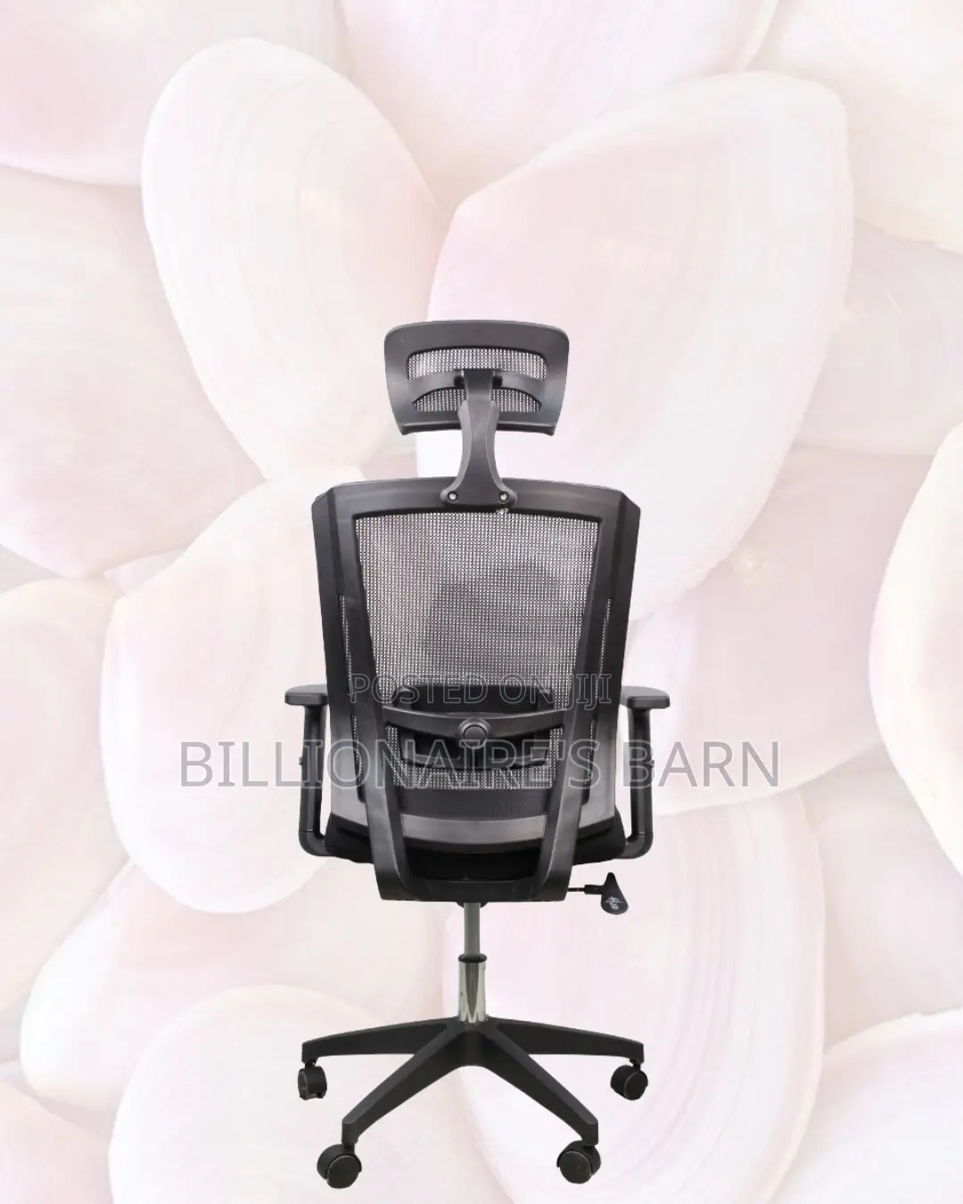 Breathable Mesh Chair for Long Hours | Nylon Base, Solid Support