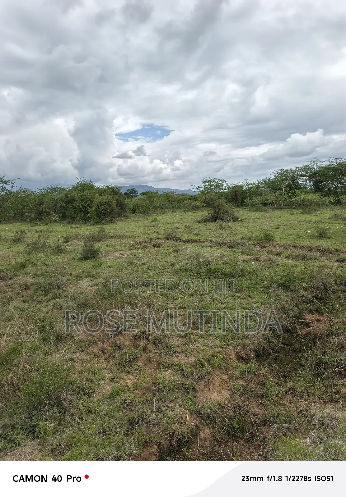 2and Half Cres at Kenol Kangundo Road