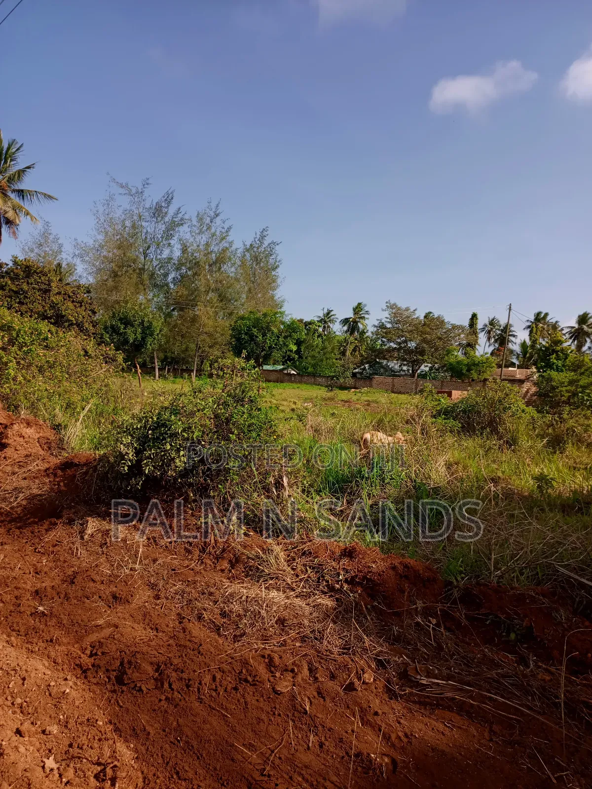 1/2 Acre on Sale in Mvideni Diani