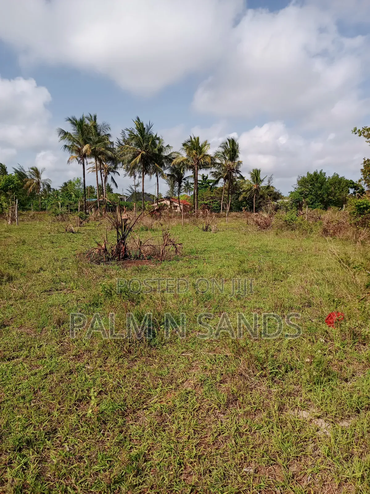 1/2 Acre on Sale in Mvideni Diani