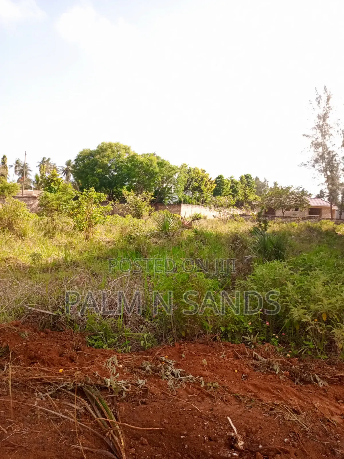 1/2 Acre on Sale in Mvideni Diani