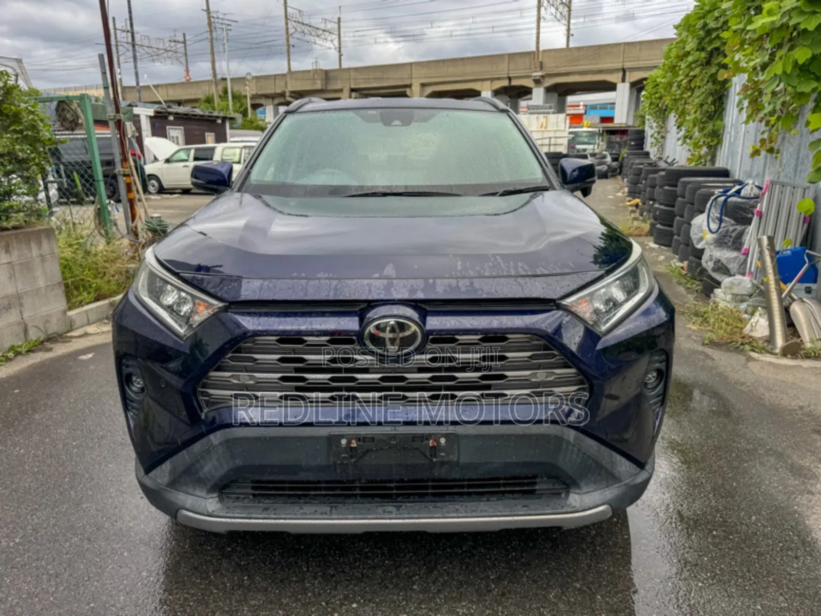 Toyota RAV4 2019 Blue