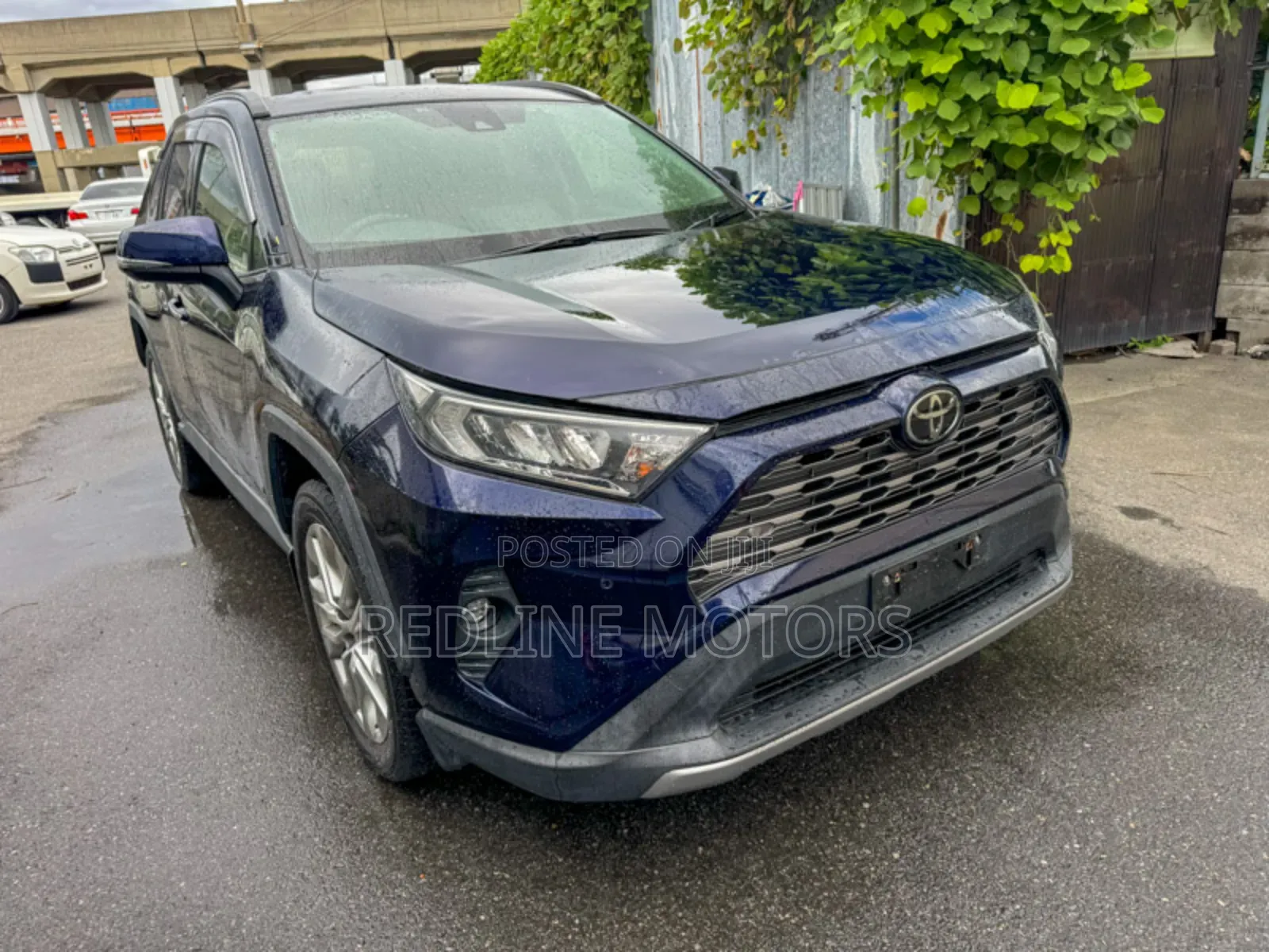 Toyota RAV4 2019 Blue