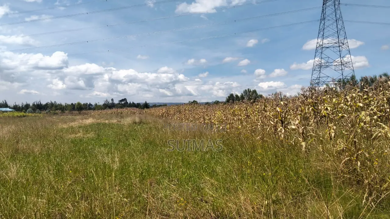 Land for Sale in Olkalou