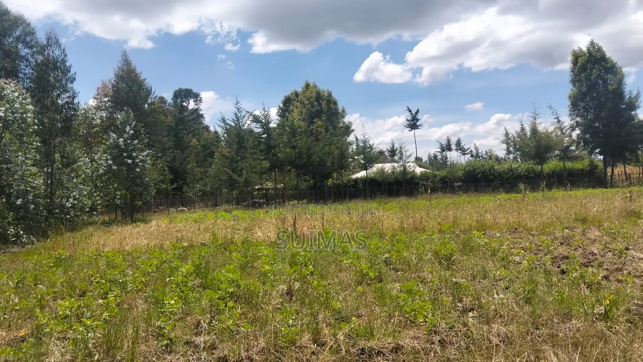 Land for Sale in Olkalou