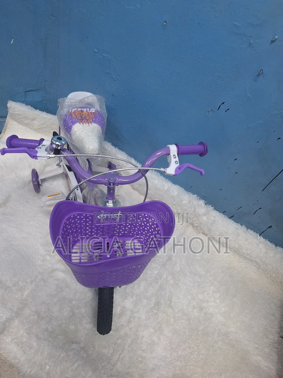 Girls Biycle 2_6yrs