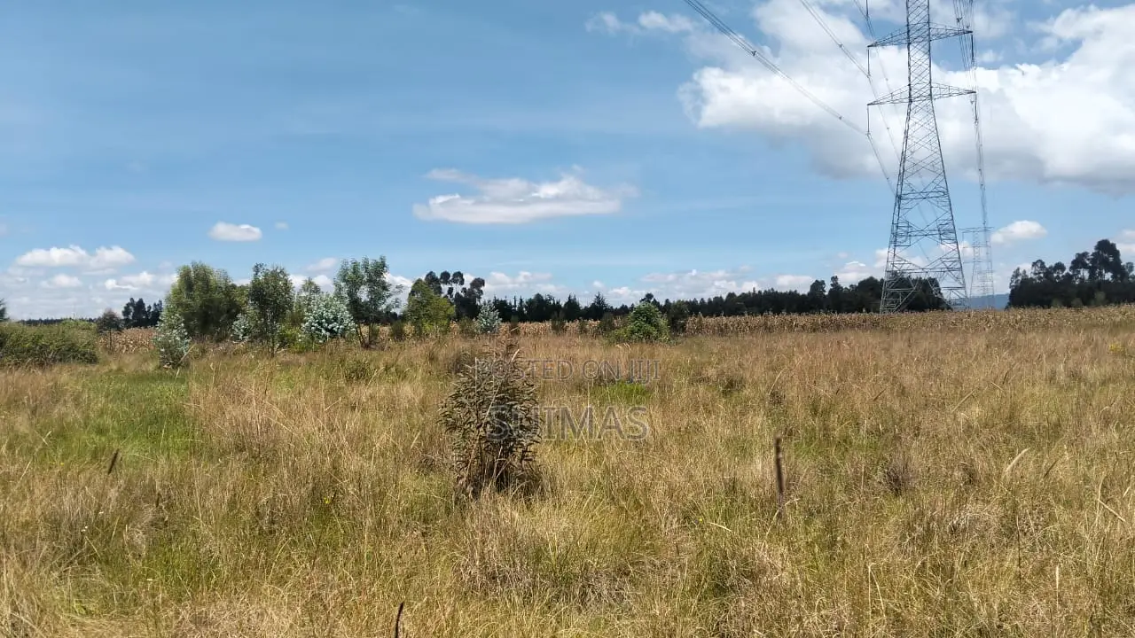 Affordable 2-Acre Land for Sale Nyandarua