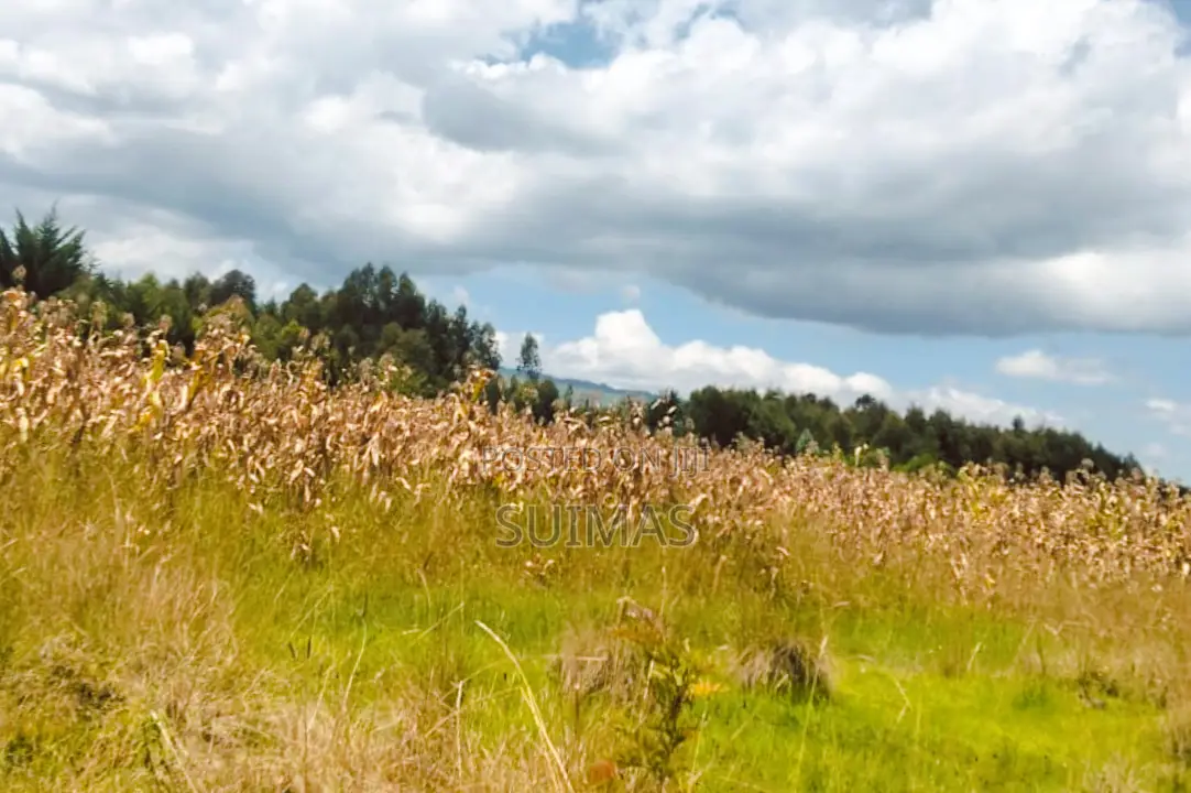Agricultural Land for Sale in Olkalou