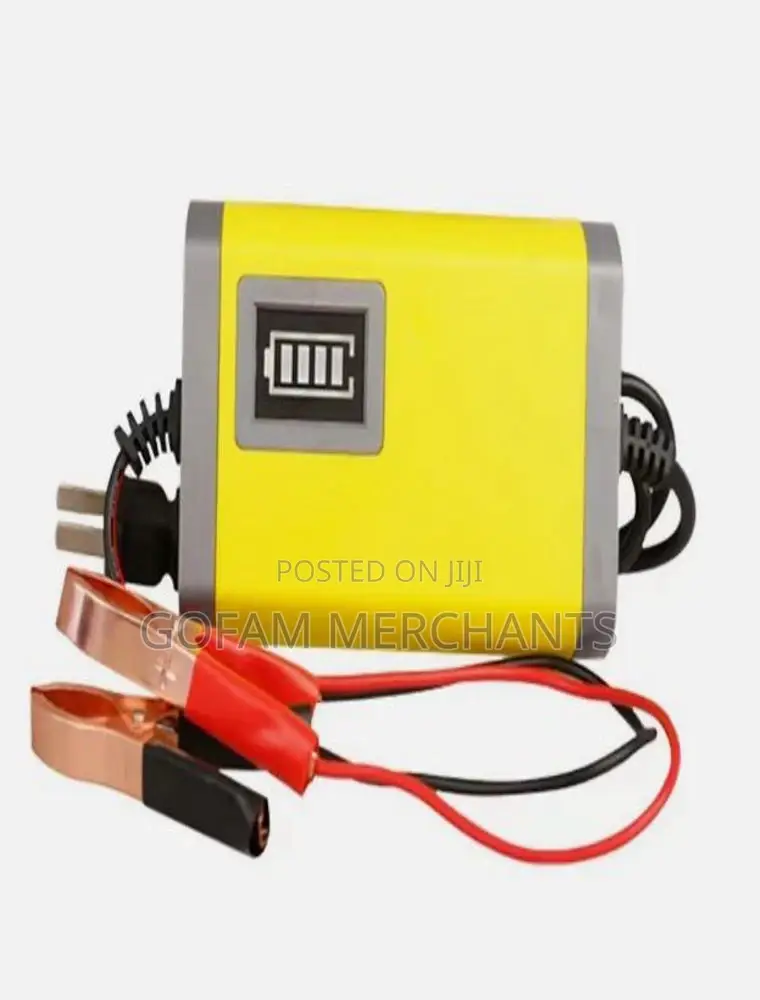 12v 2a Auto Battery Charger