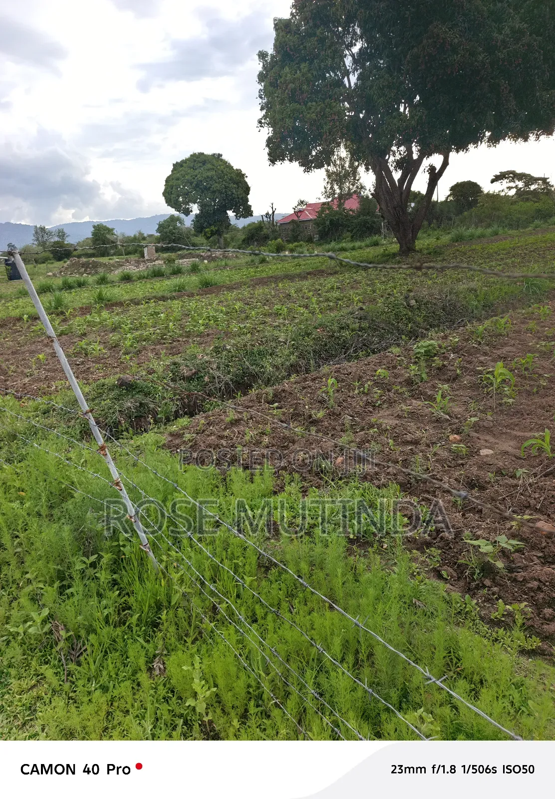 1acres Ar Syanthi
