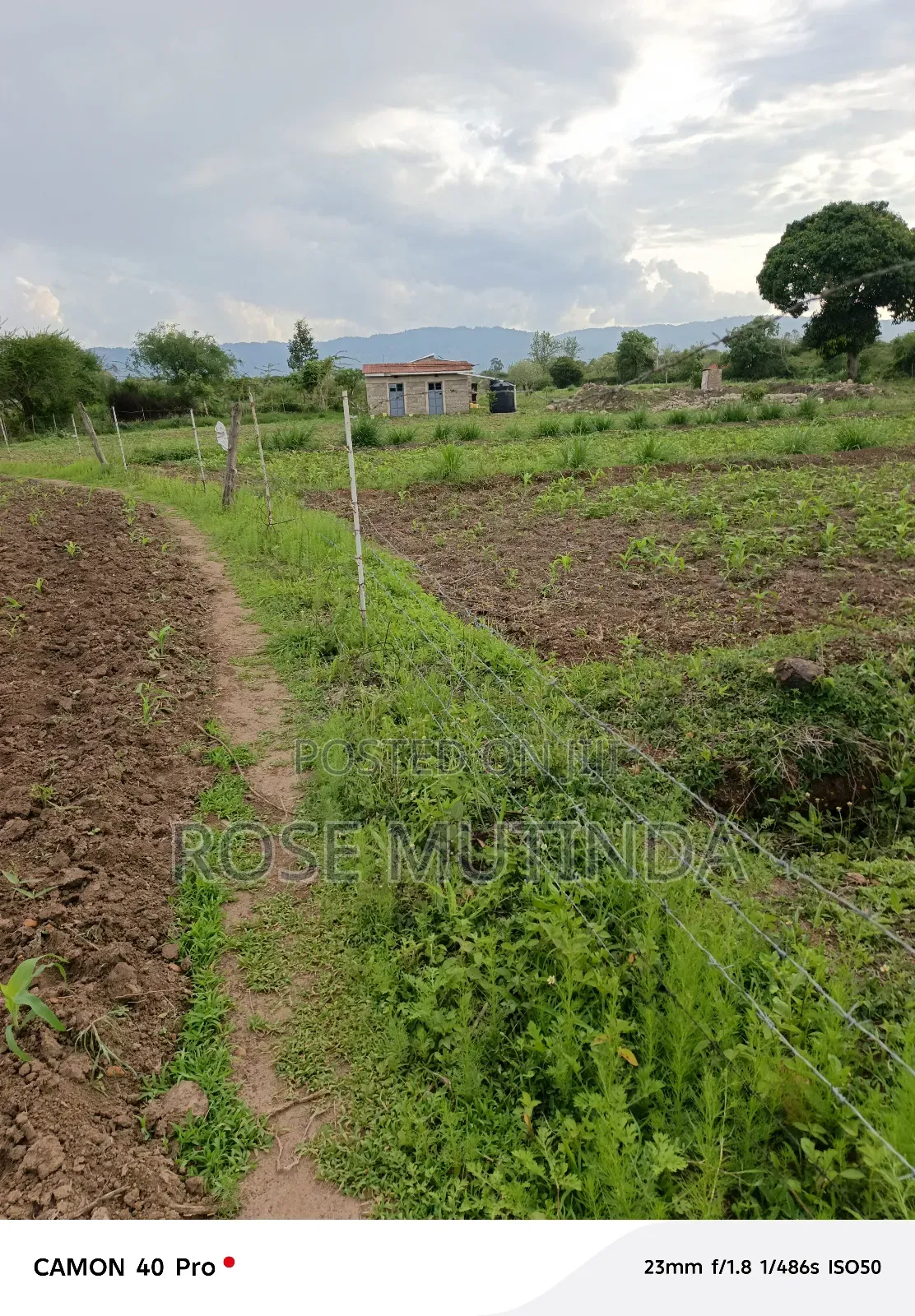 1acres Ar Syanthi
