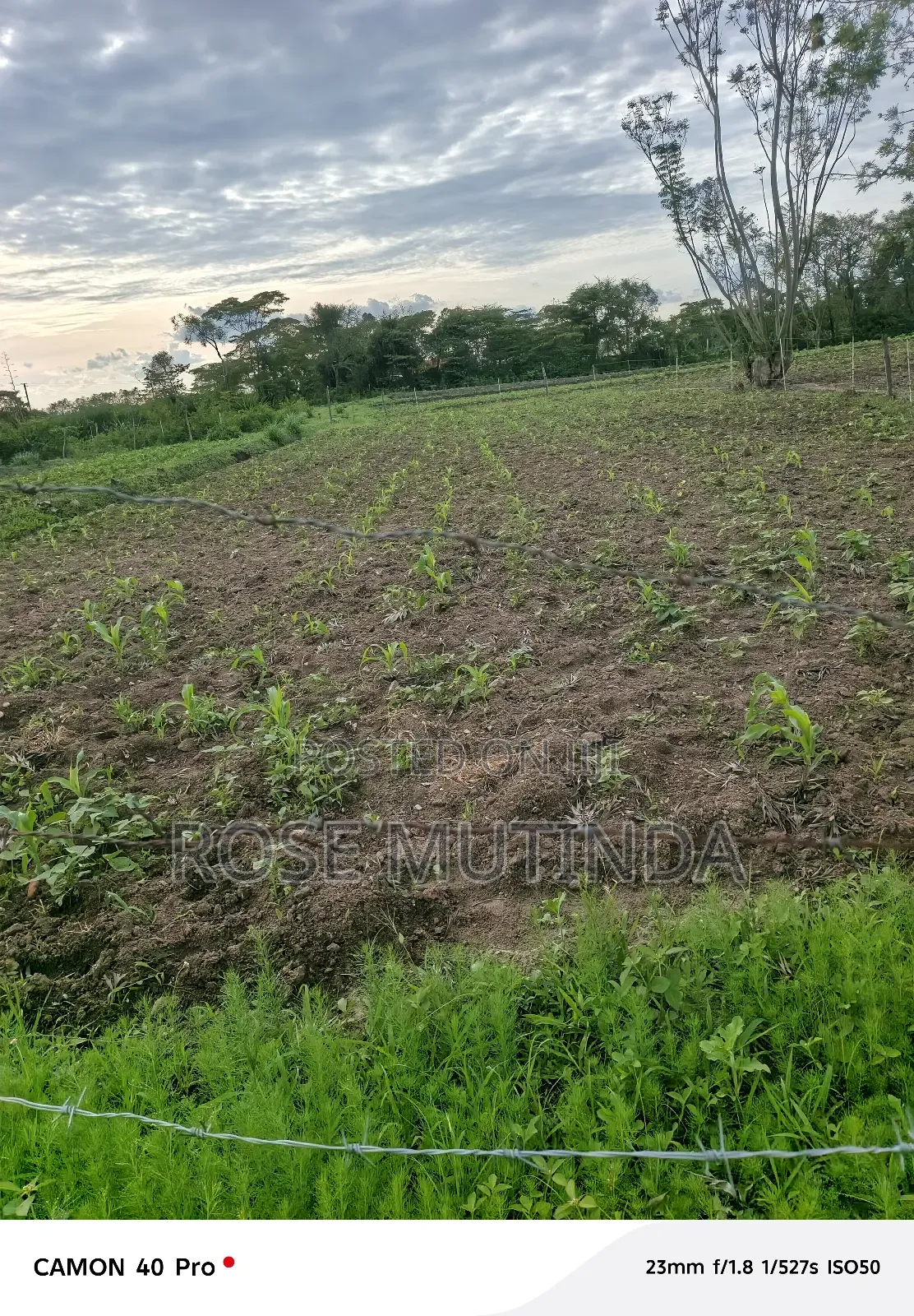 1acres Ar Syanthi