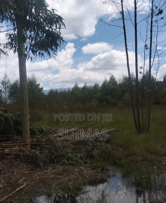 Land for Sale in Bathas Nyandarua