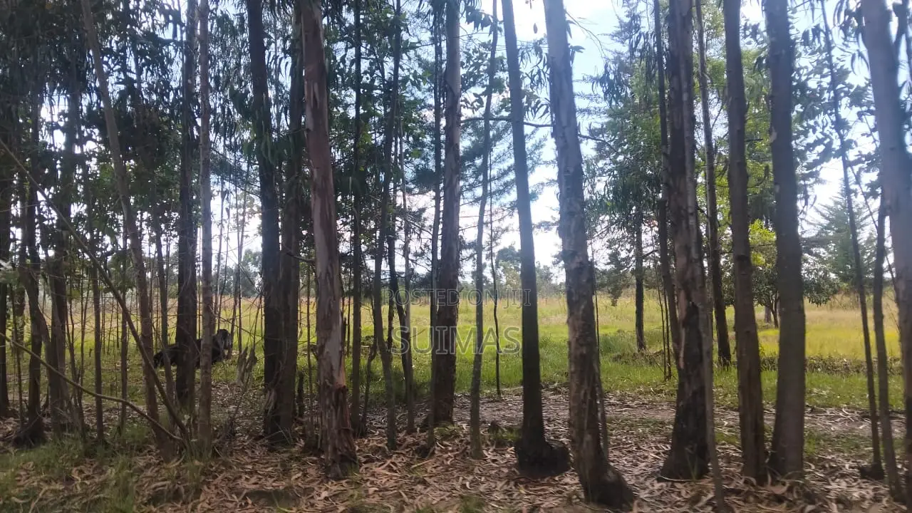 Mixed-use Land With A House For Sale Olkalou