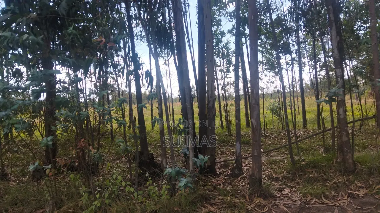 Mixed-use Land With A House For Sale Olkalou