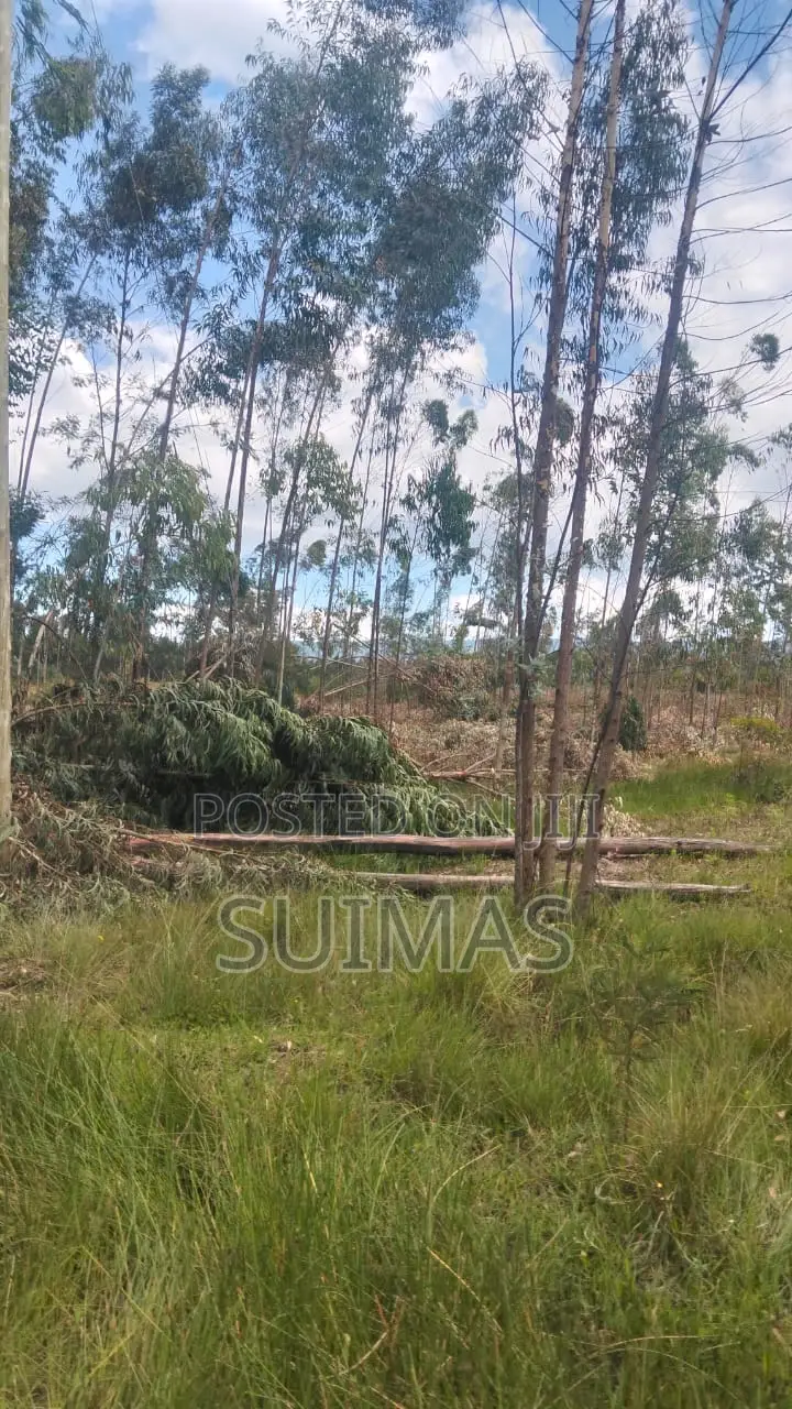 Land With Residential House For Sale Olkalou