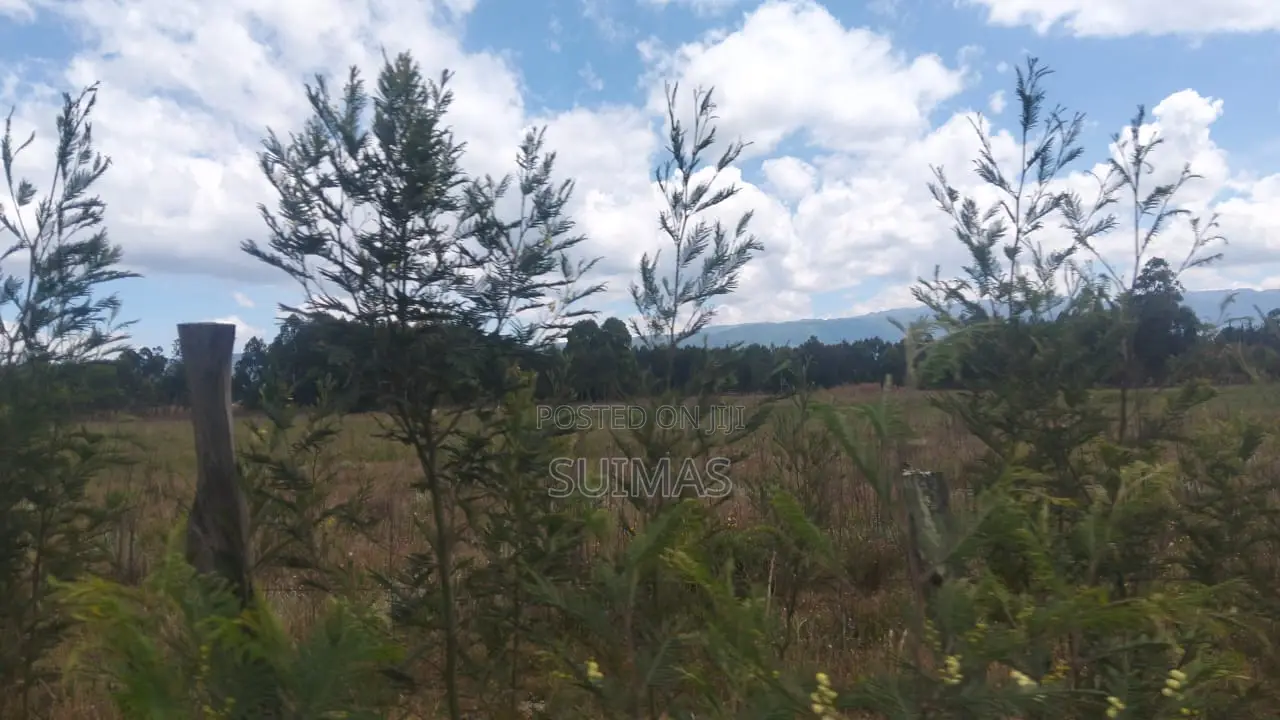 Land for 1.6 Million Per Acre Olkalou