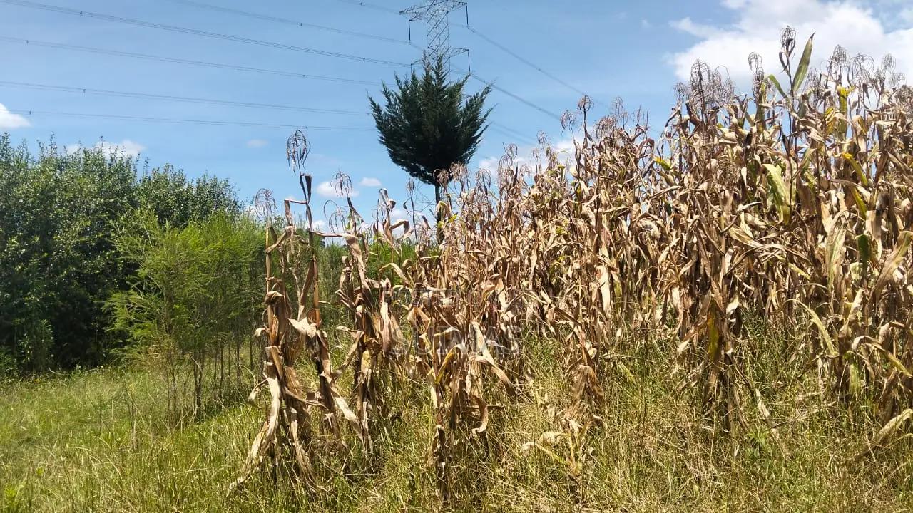 Land for 1.6 Million Per Acre Olkalou