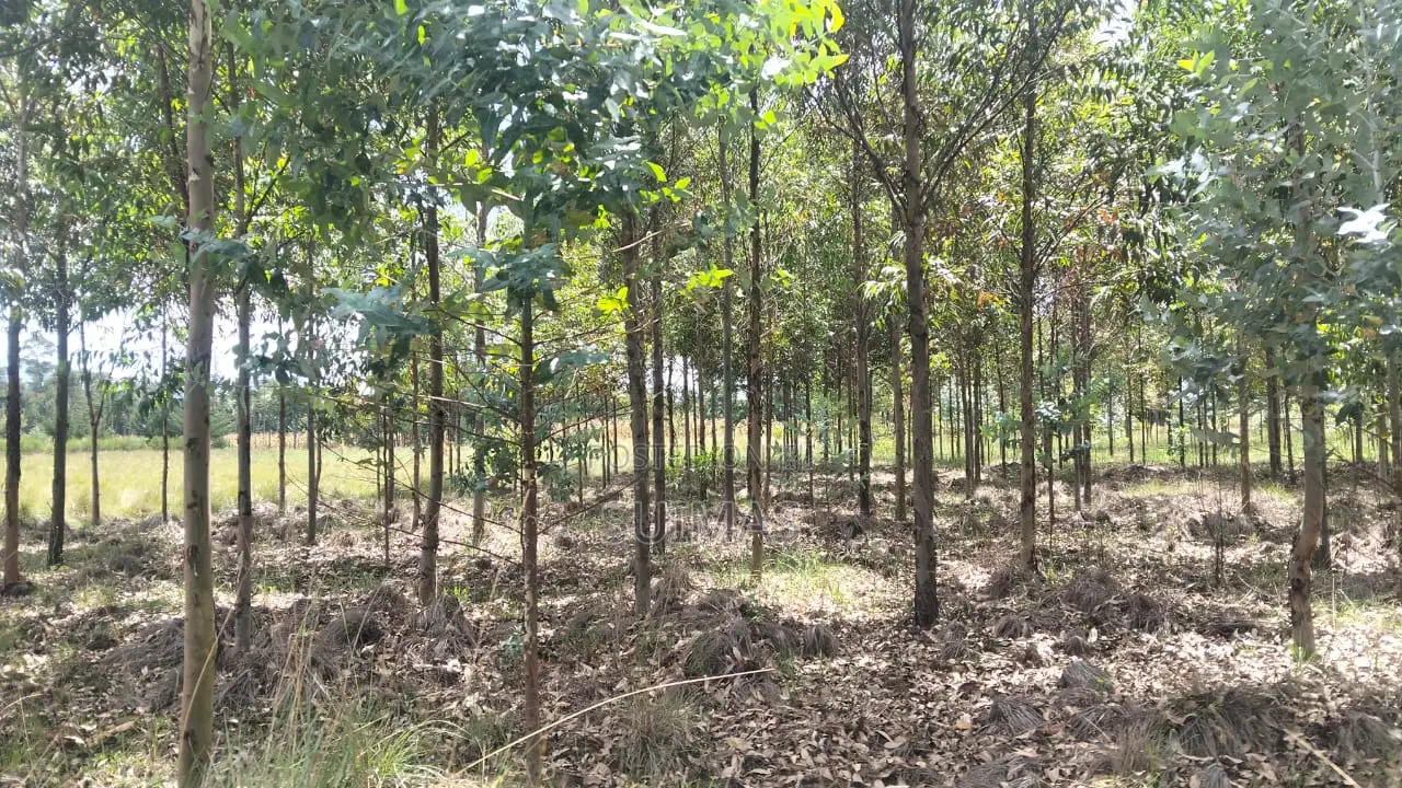 Land for 1.6 Million Per Acre Olkalou