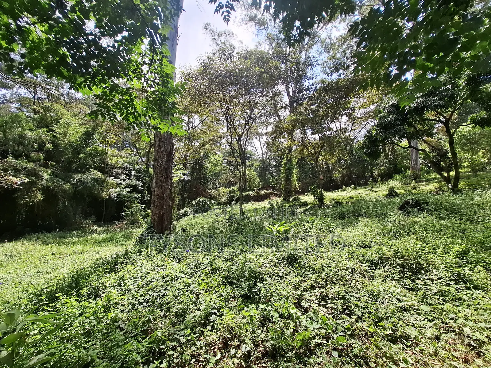Land for Sale Off Riara Road