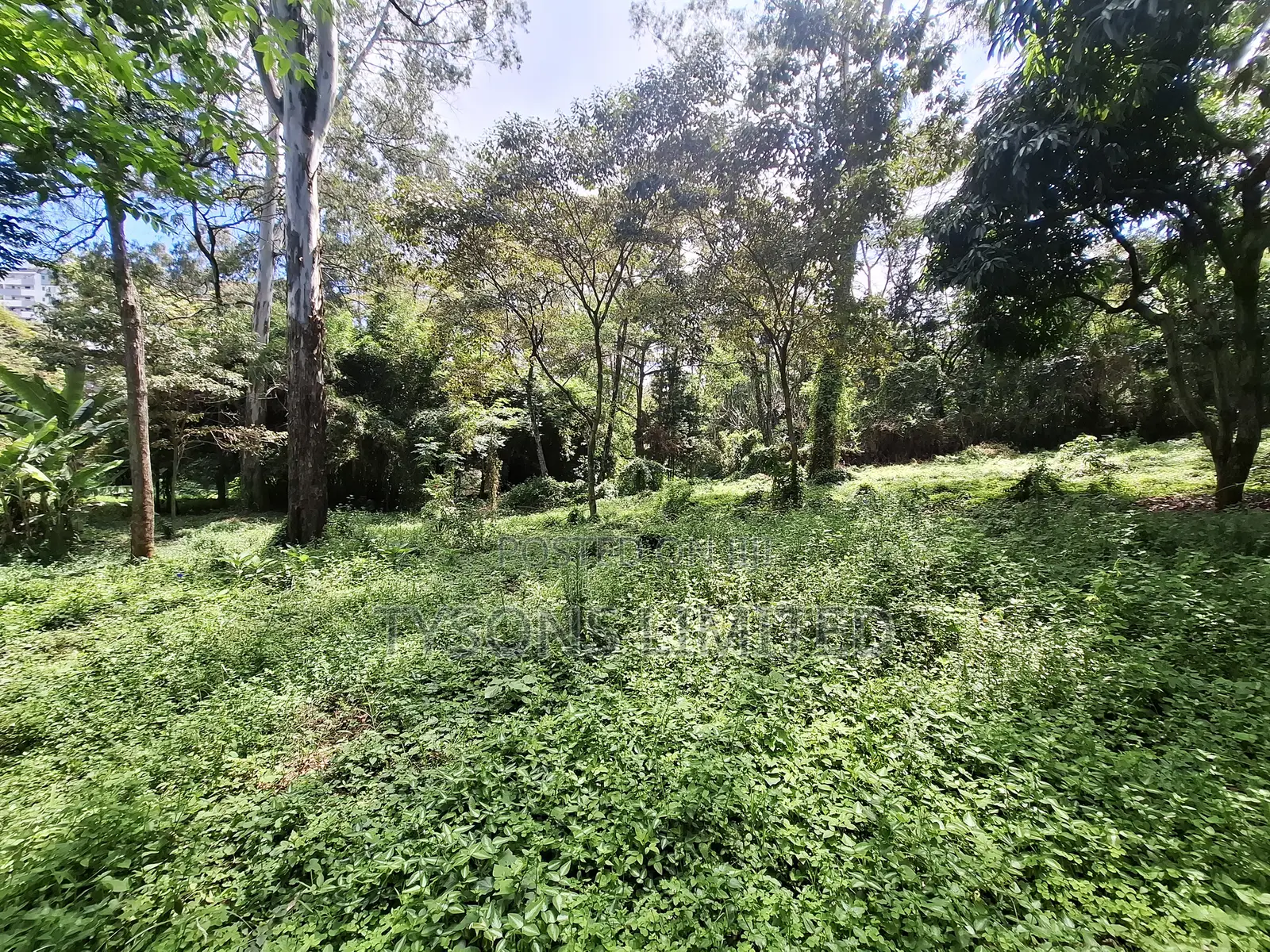 Land for Sale Off Riara Road