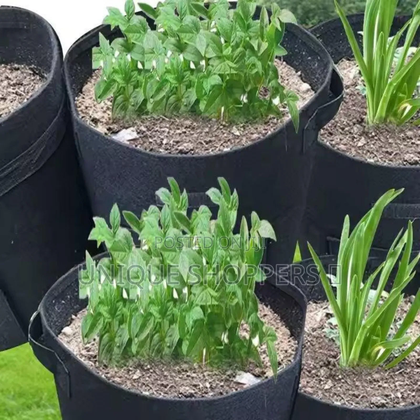 Grow Your Garden With Ease.
Get Heavy Duty Thickened Nonwovengrow Bags