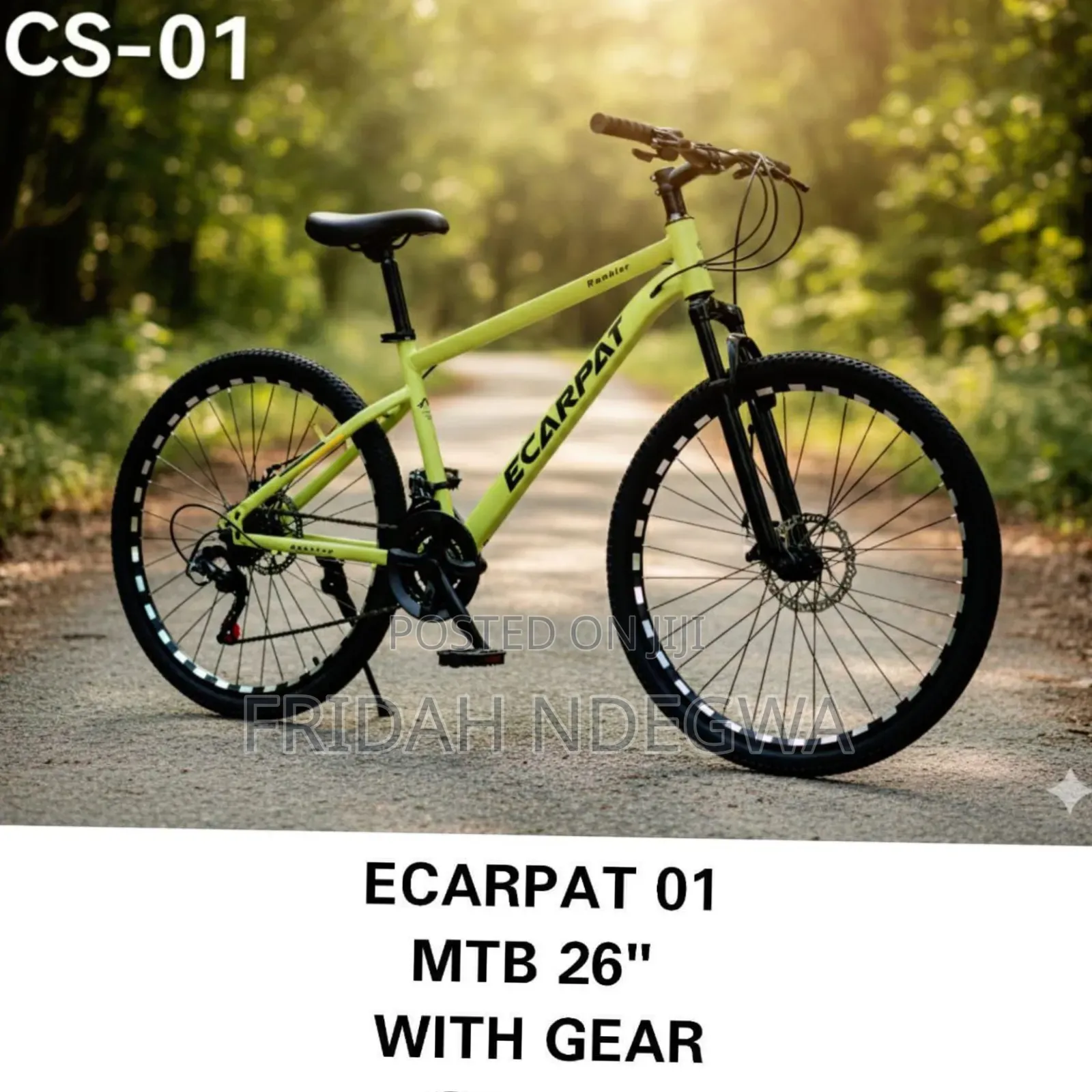 Ecarpat 01 MBT Bike Size 26 With Gear
