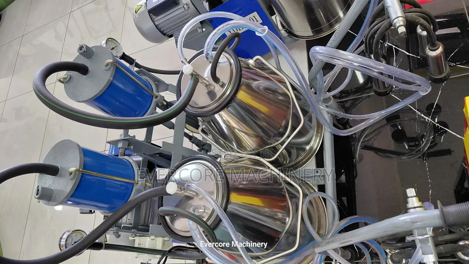 Double Bucket Milano Milking Machine Single Phase With 25l Buckets.