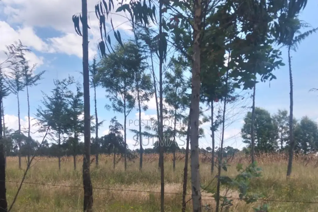 Residential Land for Sale in Chebes Nyandarua