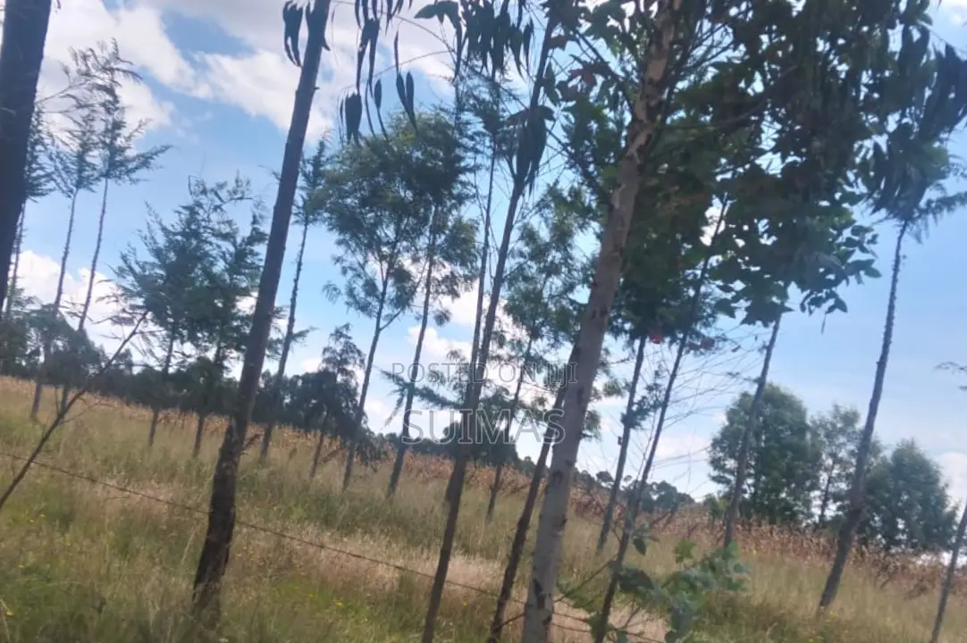 Residential Land for Sale in Chebes Nyandarua