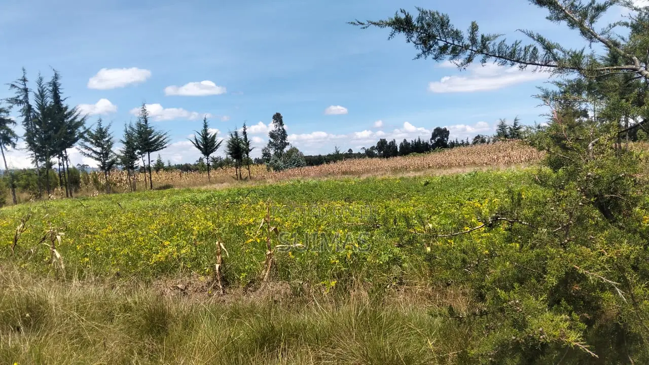 3 Acres Land for Sale in Nduha Olkalou