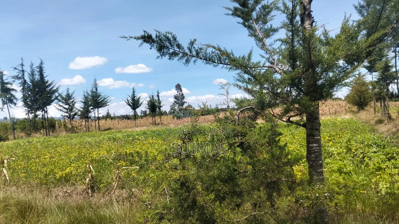 3 Acres Land for Sale in Nduha Olkalou