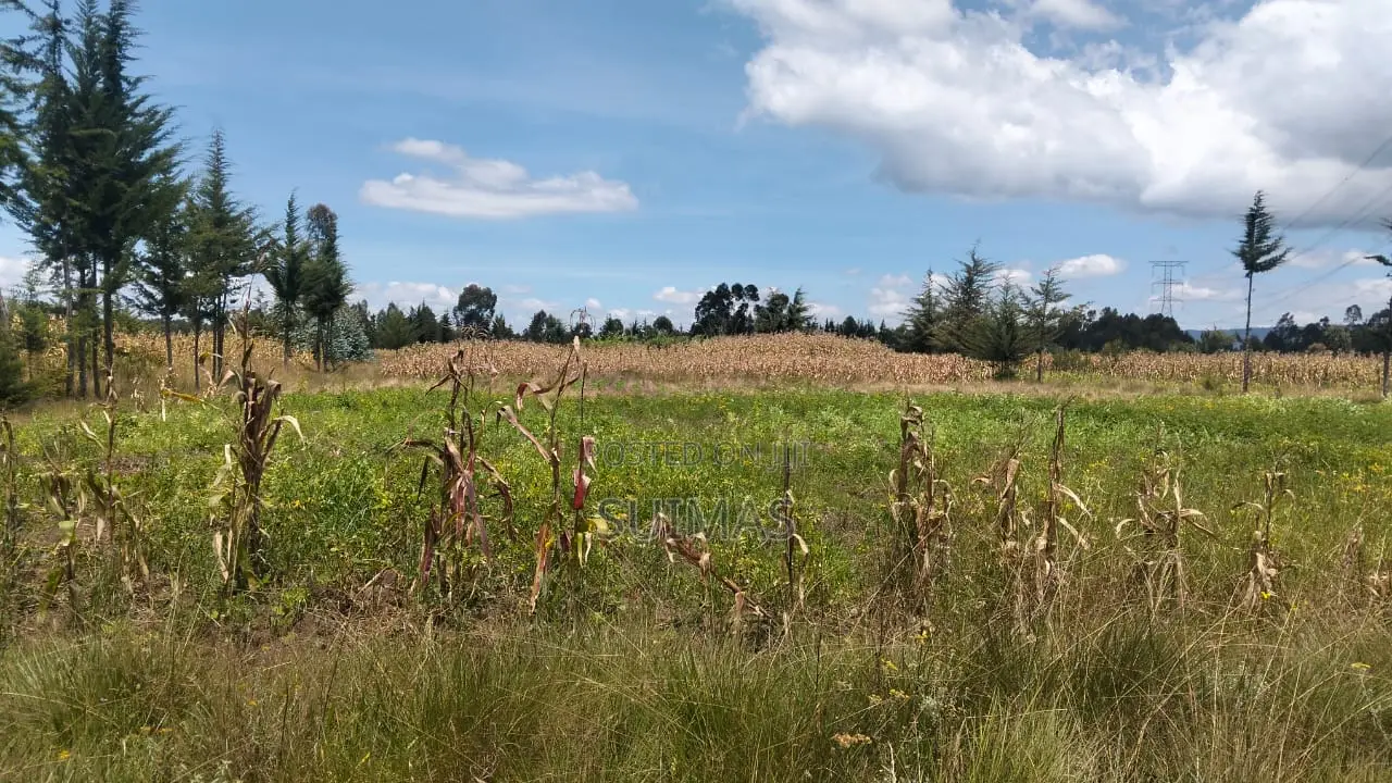 Sister’S 3 Acres Land for Sale Nduha Olkalou