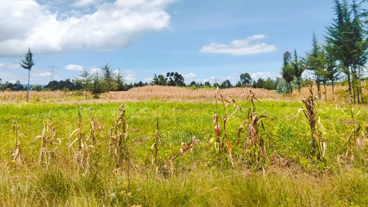 Sister’S 3 Acres Land for Sale Nduha Olkalou