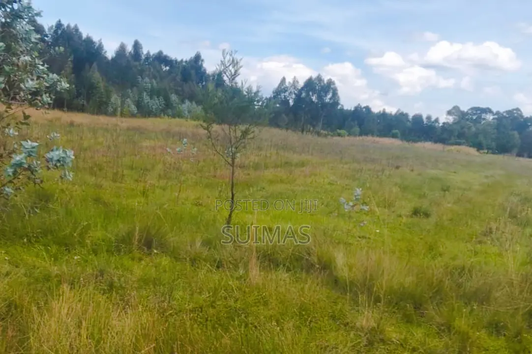 Sister’S 3 Acres Land for Sale Nduha Olkalou